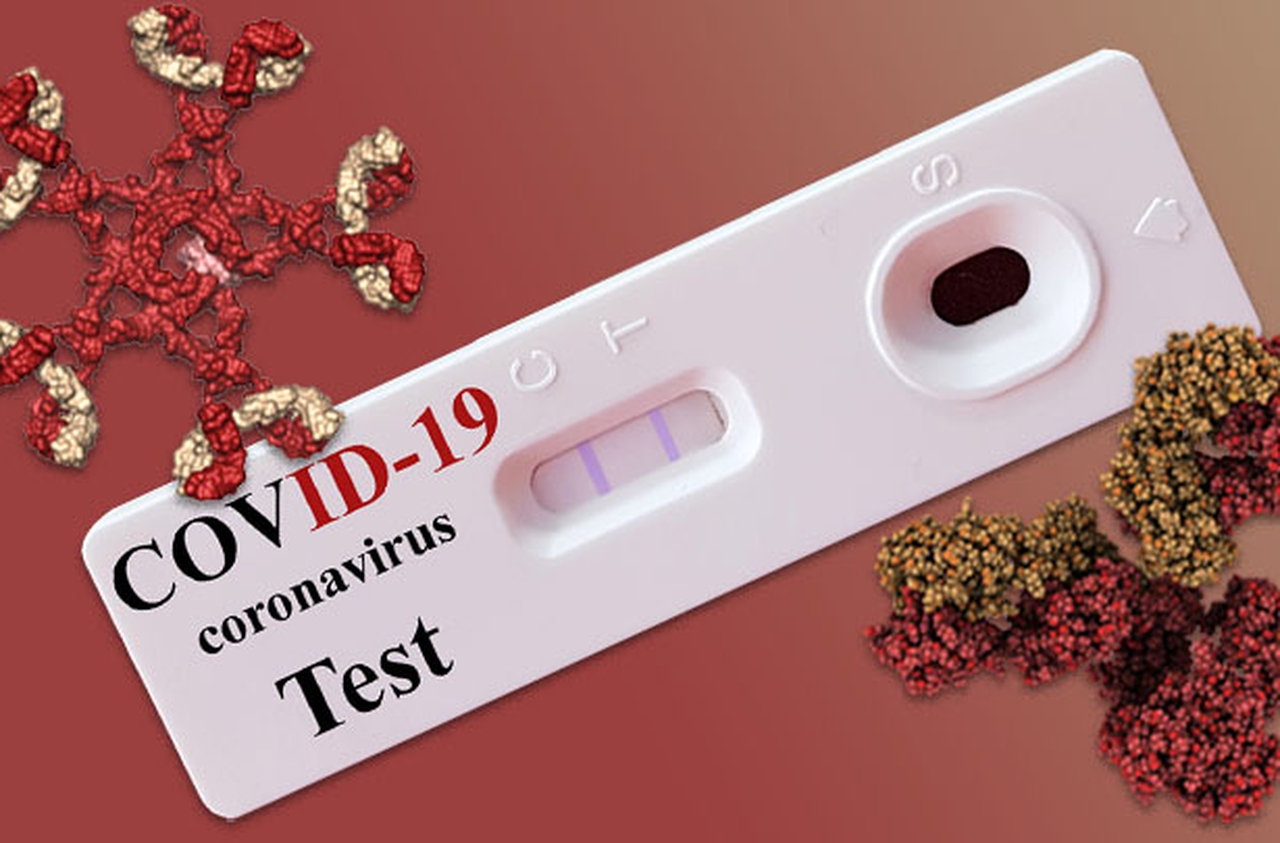 TEST sierologici COVID-19 | Farmacia Gamba